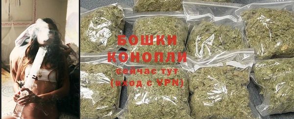 бошки Аркадак