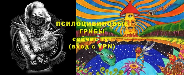 бошки Аркадак