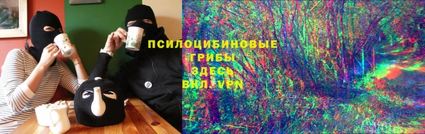 Альфа ПВП Арсеньев
