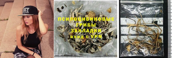 бошки Аркадак