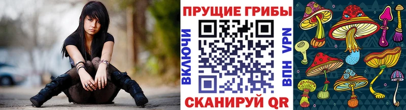 Псилоцибиновые грибы мицелий  наркошоп  Михайлов 